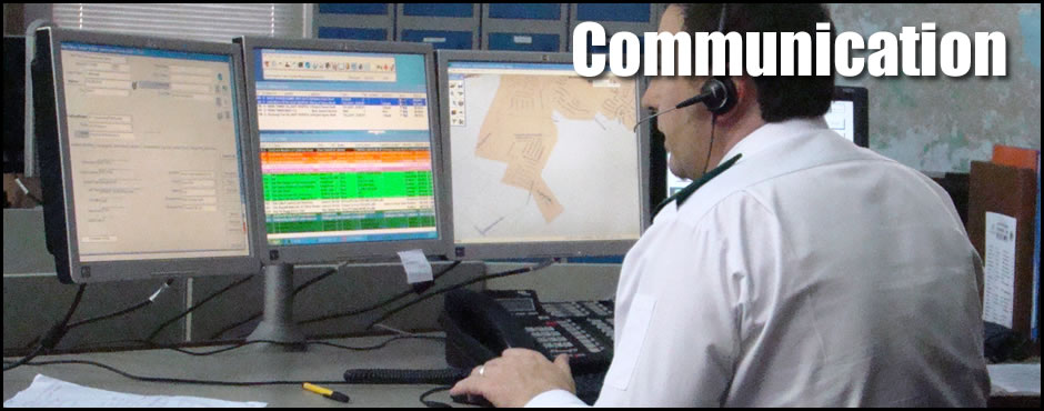 Paramedics In Action