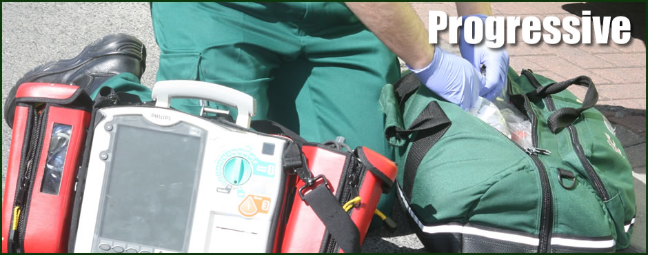 Paramedics In Action